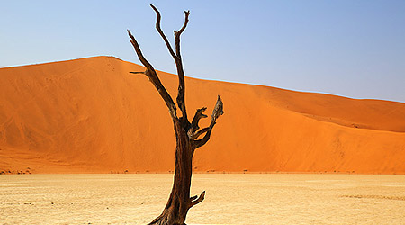 Sossusvlei - Namibias ørkenlandskap